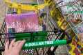 Dollar Tree Summer Shopping Spree!