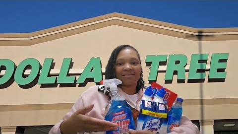 Dollar Tree Cleaning Supplies Haul: Affordable Finds & Must-Haves