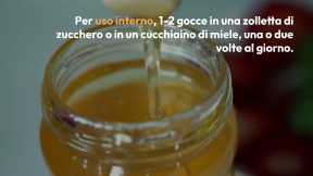 Olio essenziale di Timo chogan   proprietà ed usi