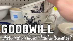 Goodwill Thrift Store Shopping looking to buy flip for Profit