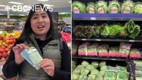 Shopping for a basket full of Canadian-made groceries with only $25