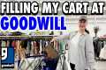 Goodwill Thrift Store Shopping•