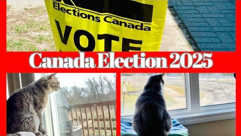 Canada Election 2025 🇨🇦 | Went For Voting | Grocery Shopping From Costco | Vlog 330 #canadaelection