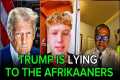 Whites in America REACT NEGATIVELY to 