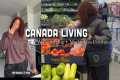 Canada Living🇨🇦 : Grocery shopping
