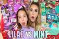 MINT VS LILAC NO BUDGET SHOPPING