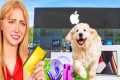 My puppy controls my credit card for