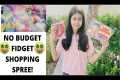 NO BUDGET FIDGET TOY SHOPPING