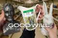GOODWILL THRIFT WITH ME | SHOP WITH