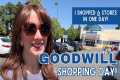 6 Goodwill Stores in ONE DAY! |