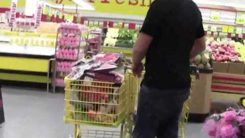 shopping spree at No Frills
