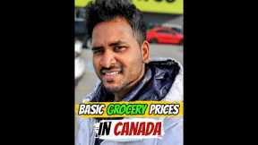 Basic Grocery Prices in Canada🛒💲🇨🇦