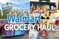 ✨HUGE✨ VACATION GROCERY HAUL | $500