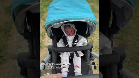 Where to buy Realistic Reborn and Silicone Baby Dolls