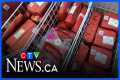 Report shows changing grocery
