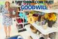 IT WAS A GOODWILL FIRST! | 9 THRIFT