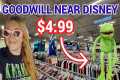 Goodwill Thrift Store Near Walt