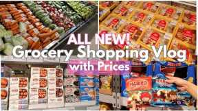 Grocery Shopping Vlog | MASSIVE haul @ Landers | Buying monthly essentials | Everyday with Ana