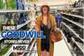 WE RISKED IT ALL! | Goodwill Shopping 