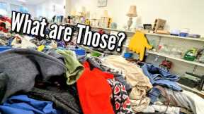🧐That was an Odd Find! | Goodwill Thrift with Me & Haul 2025