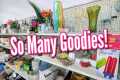 🛍Goodwill has the Goodies! | Thrift