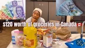 Is it worth it in Canada 🇨🇦??? + $120 grocery shopping. 