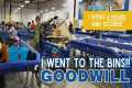 MY BEST GOODWILL BINS DAY EVER! |