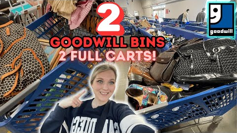 2 Goodwill Bins in 1 DAY! We’re Back In Portland And WE Got 💥2 FULL CARTS💥! +2 HAULS!