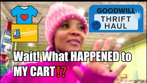 LETS GO To THE GOODWILL BINS‼️My CART Got MISSING‼️🫢 PLUS THIS SCARED ME 😬