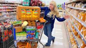 Shop with Me at America's Cheapest Grocery Store November 2025