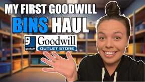 My First Goodwill Outlet Bins Haul as a Reseller on EBay 