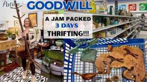 3 DAYS THRIFTING! Goodwill Thrift Haul | WE WENT BACK FOR IT!!!! It's worth $3,200.00!!!