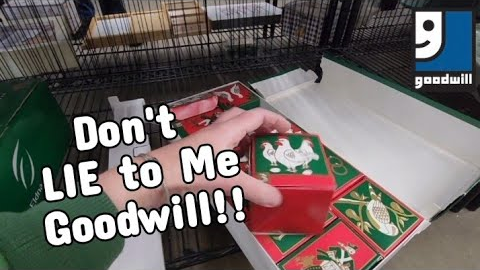 Don't Lie to Me Goodwill!! - Shop Along With Me - Goodwill Thrift Store