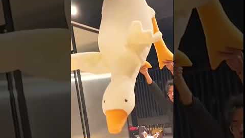 Goose Plush Toy 🦢 | Plush Toys for Kids | Plush Toy | #plushtoys #cutetoys #shorts #giftforkids