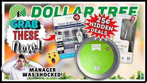 WHAT!?! These DOLLAR TREE 25¢ Haul Finds BLEW ME AWAY! Plus NEW Arrivals Just HIT THE SHELVES! RUN!