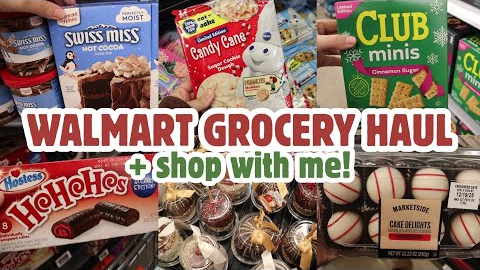 Walmart Grocery Haul + Shop with Me for NEW FINDS | Christmas 2025