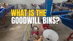 My first time finding this at the Goodwill Outlet Bins • thrift with me