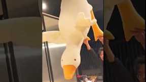 Goose Plush Toy 🦢 | Plush Toys for Kids | Plush Toy | #plushtoys #cutetoys #shorts #giftforkids