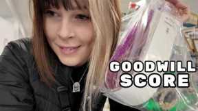 Can't BELIEVE THAT Just Happened at Goodwill