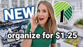NEW Dollar Tree 2026 ORGANIZATION ✨ for your ENTIRE House!