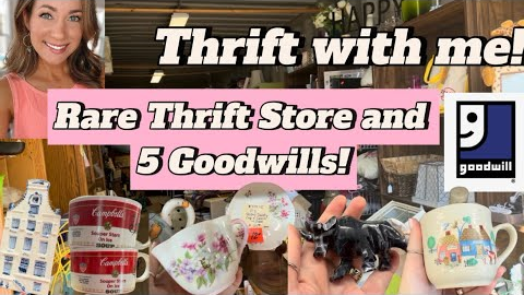 Hidden Gem Thrift Store, 5 Goodwills, & More! 