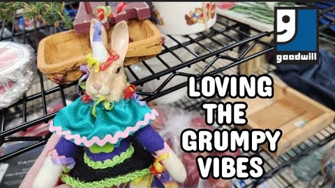 Loving the Grumpy Vibes - Shop Along With Me - Goodwill Thrift Store