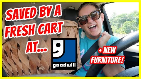 Goodwill Thrifting a Fresh Cart + New Furniture & See It in My Home!