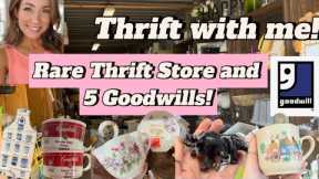 Hidden Gem Thrift Store, 5 Goodwills, & More! 