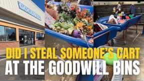 I took someone's cart at Goodwill Outlet bins • Thrift with me • thrifting for resale and home decor