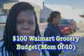 Walmart Grocery Haul ON A BUDGET