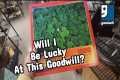 Will I Be Lucky At This Goodwill? -