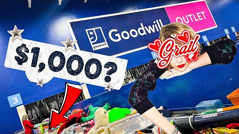 CRAZY Goodwill Outlet Thrift Find (Taylor's Version)