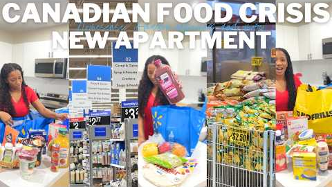 MOVING VLOG 10: HUGE Grocery Shopping Vlog + haul (Costco, Walmart, No frills) Fridge + pantry tour