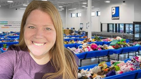 Goodwill Bins Haul to Sell on Whatnot